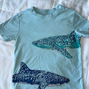 Tea Collection Aqua Shark Graphic Tee